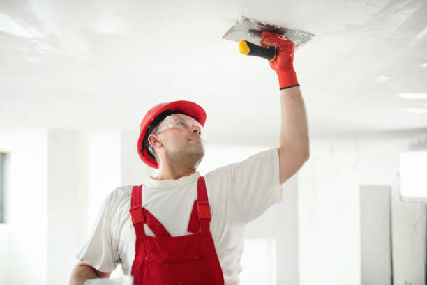 Best Interior Painting  in Camden, TN